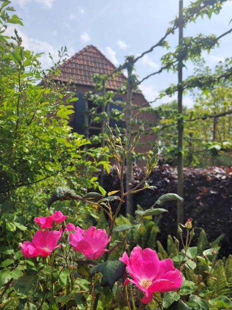 Den Dungen Studio Nok Bij Den Bosch מראה חיצוני תמונה